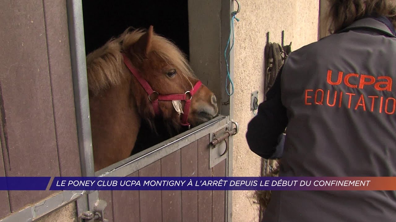 Poney Club Ucpa De Montigny Le Bretonneux