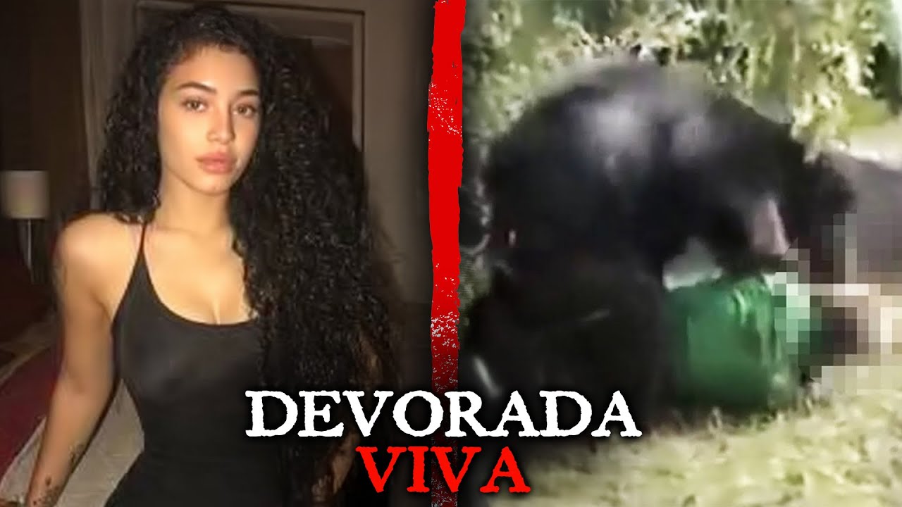 Este Influencer Foi ATACADO Depois De Posar Com Um Urso