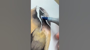 Art Journal, drawing birds | Coloring with Copic markers #shorts #birdtober #inktober2022