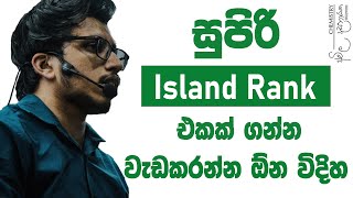සුපිරි Island Rank එකක් ගන්න වැඩ කරන්න ඕන විදිහ | Timetable for Exam | Study Tips | Amila Dasanayake