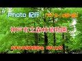 アジサイの咲く森「神戸市立森林植物園」4K の動画、YouTube動画。