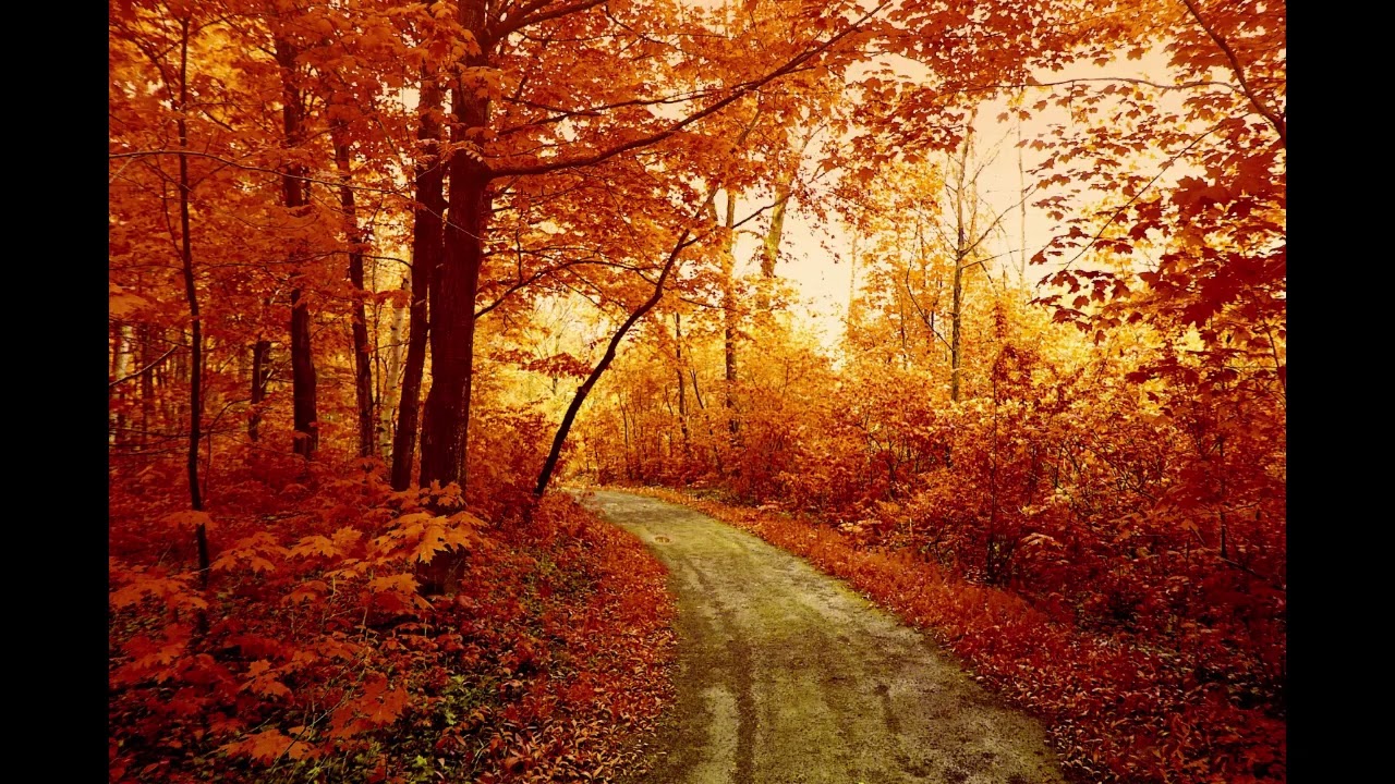 ASMR my top 10 trigger words plus bonus word