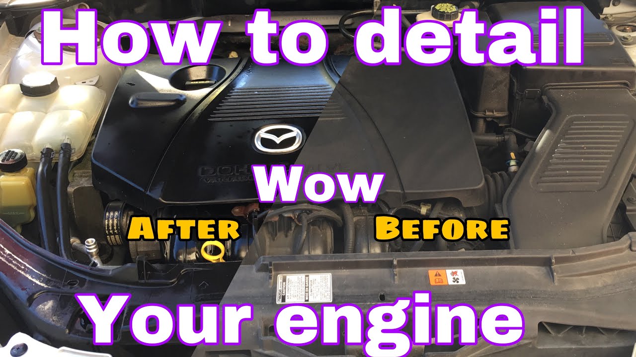 How to clean your ENGINE BAY super easy!!!! Step by step easy YouTube
