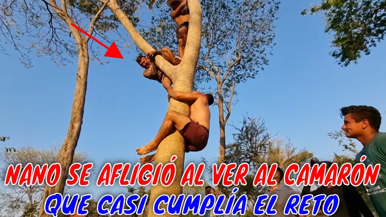 Nano le hizo una propuesta al Camarón si lograba subir a este árbol. Nuevo reto. Parte 12