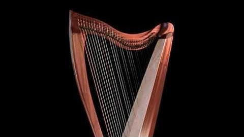 FH36S in sapele, built by Dusty Strings