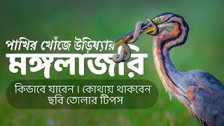 Birds of Mangalajodi | Photography Tips | Manglajori Birdwatching | Chilka Birds