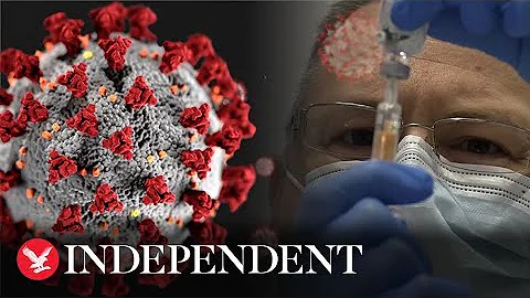 What you need to know about the coronavirus variants