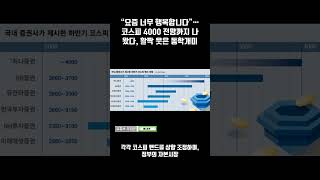 “요즘 너무 행복합니다”…코스피 4000 전망까지 나왔다, 활짝 웃은 동학개미