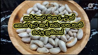 කොස් ඇට සාර්ථකව කල්තබා ගත හැකි ක්‍රමයක් | ආහාර කල්තබා ගනිමු |