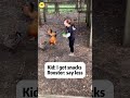 What happens on the farm every day 😂 | Follow for more video! #animals #farm #funny  #fyp