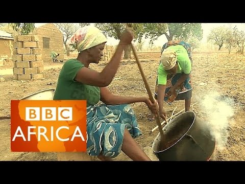 Shea butter in Ghana: 
Hard labour for smooth skin