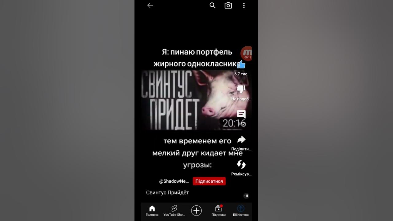 свинтус придет - YouTube