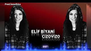 Elif Biyani Stranekî zazaki Resimi