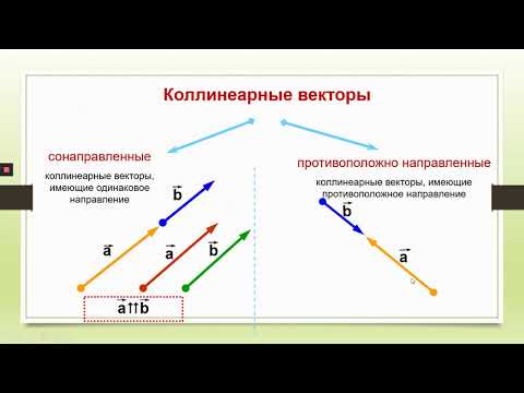 Понятие вектора. Равенство векторов