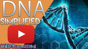 DNA- Structure and function of Deoxyribonucleic Acid (DNA)