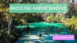 Paddling Weekie Wachee From Rogers Park | SUP #weekiewachee #floridasprings