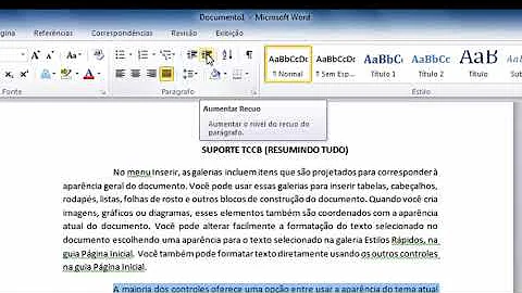 Como fazer referência de um software?