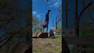 #climbing #bujinkan #muaythai #judolife #bouldering #rockclimbing #combatsports #yoga #thaiboxing