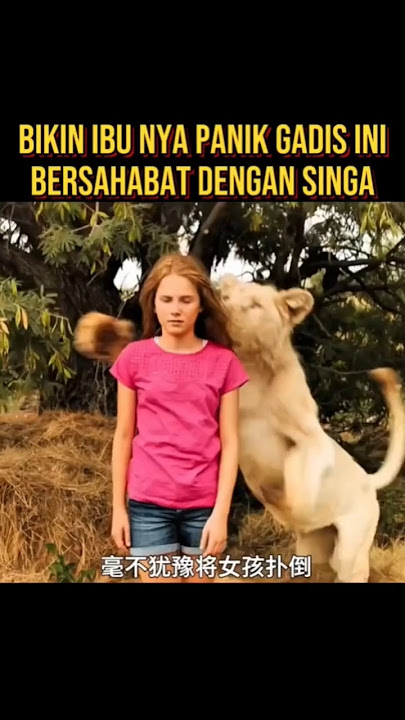 SEMUA ORANG TAKUR GADIS INI MEMELIHARA SINGA #alurceritaflim #film