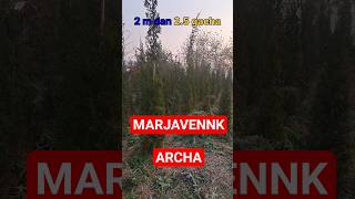 MARJAVENNIK ARCHA #sasnagar #archa #gilos #bexi #ukraine #rossiya #aqsh