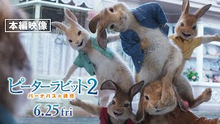 本編映像＜僕たち、湖水地方チーム！＞日本語吹替版『ピーターラビット２／バーナバスの誘惑』映画館で上映中！