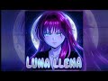 NIVXIA LUNA LLENA Official Audio 