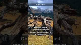 Embrace Life's Obstacles - Unveiling Hidden Opportunities on Your Journey #motivation  #inspiration