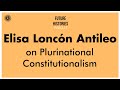 Elisa loncon  antileo on plurinational constitutionalism  future histories s02e49