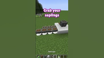 How to make a tree farm in under 1 minute #shorts
