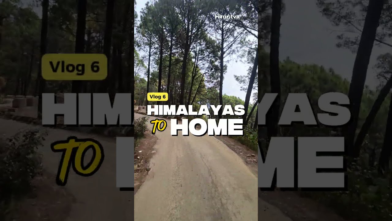 Himalayas To Home - Vlog 6