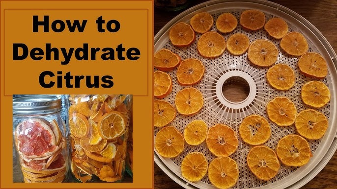 How to Make Dried Orange Slices in the Oven￼ - Emily Laurae