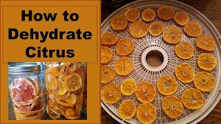 Dehydrating Citrus in a Food Dehydrator | Dehydrating Oranges and Grapefruit