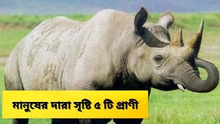 মানুষের দারা সৃষ্টি ৫ টি প্রাণী || TOP 5 Hybrid Animals IN THE WORLD || wild extra by Wild Extra 524 views 2 years ago 5 minutes, 42 seconds