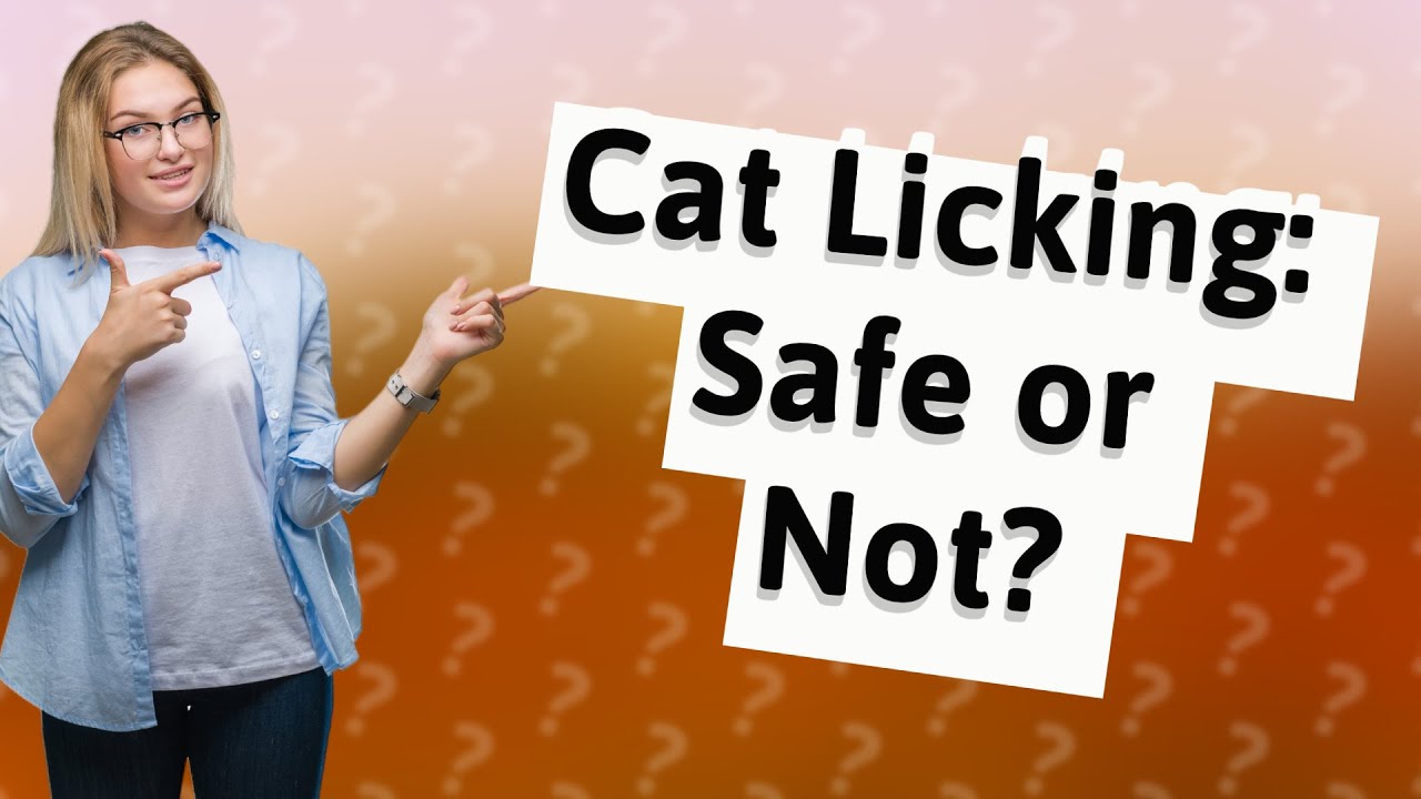 Should I let my cat lick me? YouTube