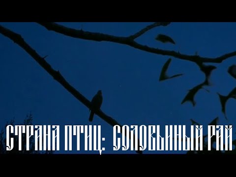 Страна птиц. Соловьиный рай @Телеканал Культура