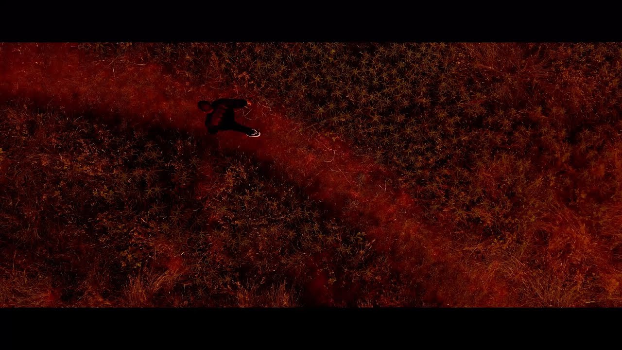 Music Video (Edited by Lenscape Junkie)