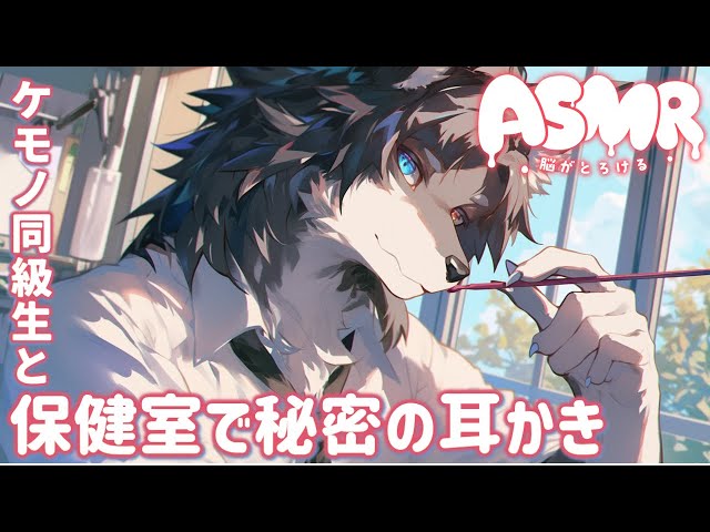 【女性向けASMR】あなたの事が好きなケモノの同級生と、保健室で秘密の耳かき【Binaural / 耳かき / 睡眠導入 / バイノーラル / シチュエーションボイス】