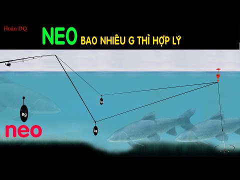 Video: Cách Neo