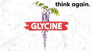 Glycine: One Of The Most Potent Anti-Inflammatory Amino Acids