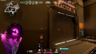 sikoplu bronzelo abii