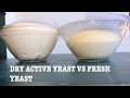 5G -1TSP  DRY ACTIVE YEAST AND 5G -1TSP FRESH YEAST - IT WILL GIVE YOU THE SAME RESULTS