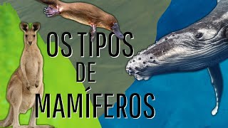 AS 3 FORMAS DE REPRODUÇÃO DOS MAMÍFEROS