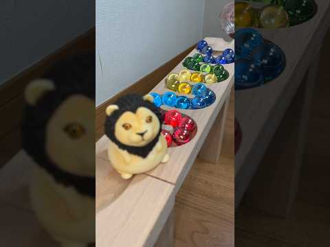 Marble Run ASMR HABA Wave Slope Pop Tube Lion Skeleton Car Shorts 