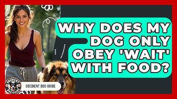 Why Does My Dog Only Obey 