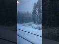 Finland #winter #snow #cold #train #window