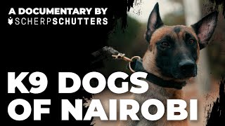 Explosive Detection K9 Dogs in Nairobi | Short documentary Scherpschutters