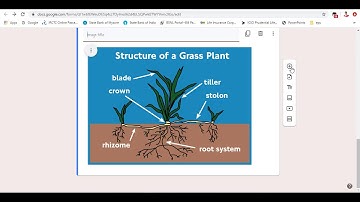 Google Form   Quiz   Part 2