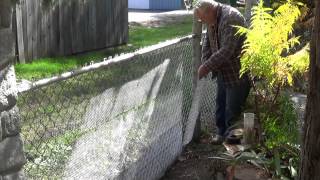 I installed a chain-link fence in 1974. I wanted an upgrade to the background for my pond and landscaping. A utility easement with a 