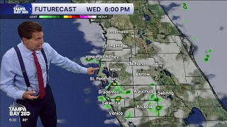 Famous Record high temperatures in the Tampa Bay area Wealth