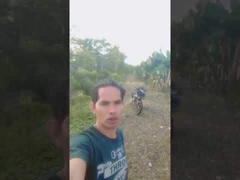 Philip Bader - Bonita